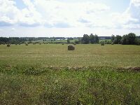 grösseres Bild