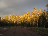 grösseres Bild