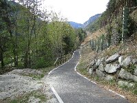 grösseres Bild