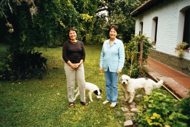 Original image