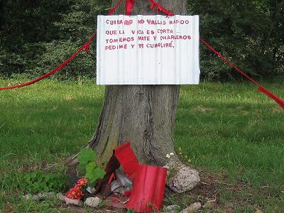 groesseres Bild